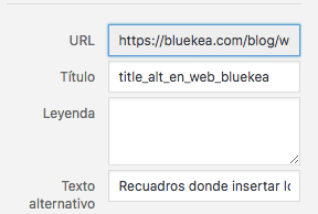 Вот как вы можете ввести атрибуты Alt и Title на вашем веб-сайте Bluekea